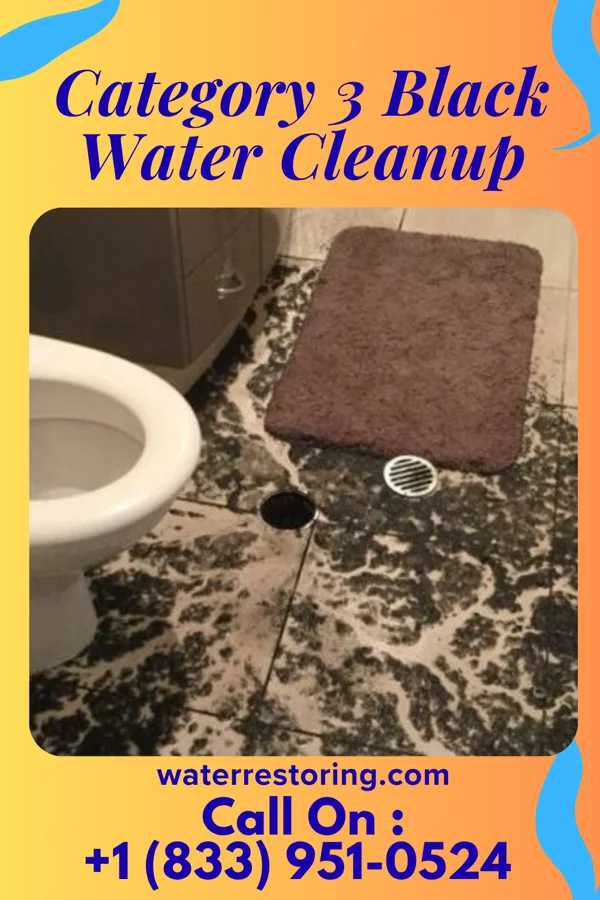 Category 3 Black Water Cleanup in Madrid, NM
