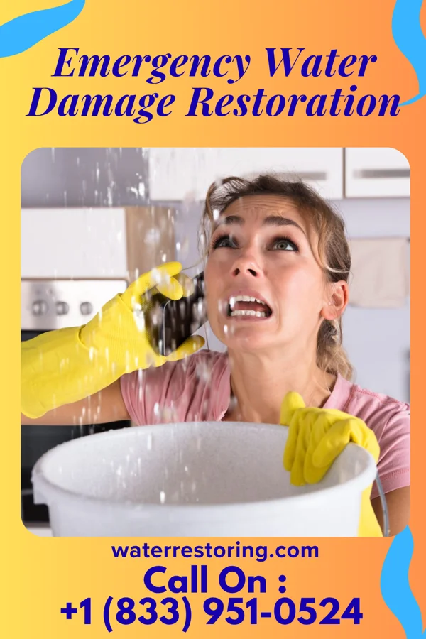 Emergency Water Damage Restoration in Madrid, NM